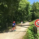 Libellule Au Coeur De La Nature Apartman