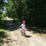 Libellule Au Coeur De La Nature Moncoutant