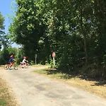 Libellule Au Coeur De La Nature