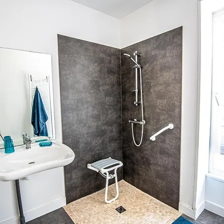 Libellule Au Coeur De La Nature Moncoutant