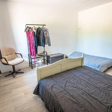 Libellule Au Coeur De La Nature *