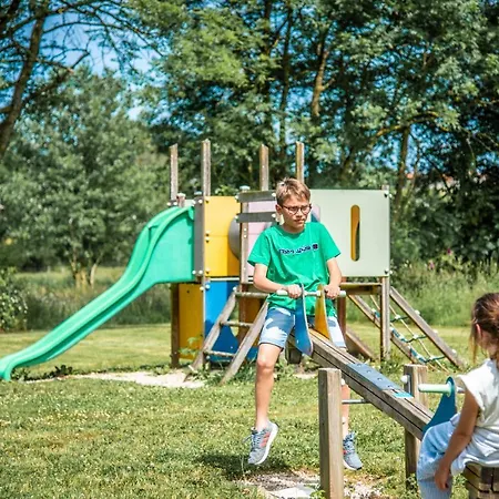 Libellule Au Coeur De La Nature