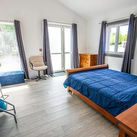 Libellule Au Coeur De La Nature Apartman Moncoutant