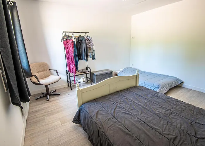 Libellule Au Coeur De La Nature *