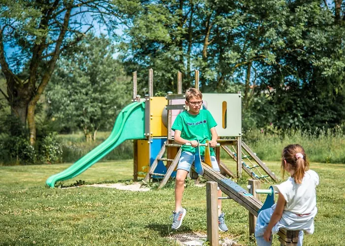 Libellule Au Coeur De La Nature
