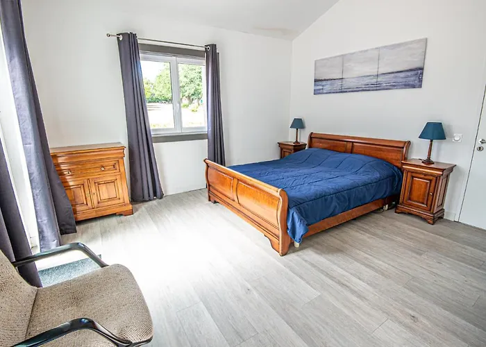 Libellule Au Coeur De La Nature