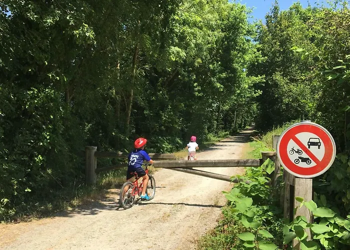 Libellule Au Coeur De La Nature 公寓