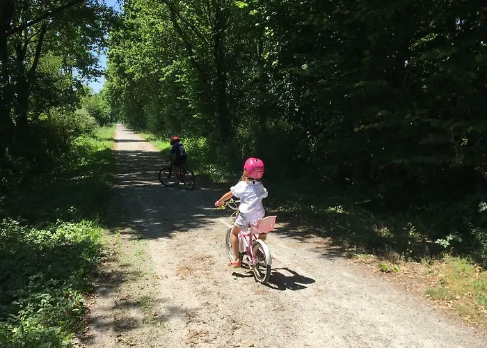 Libellule Au Coeur De La Nature 蒙科坦特